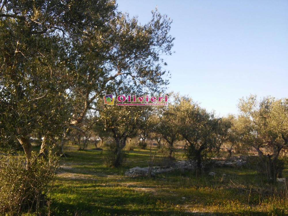 VISTA PANORAMICA – PREZZO RIBASSATO!!!
